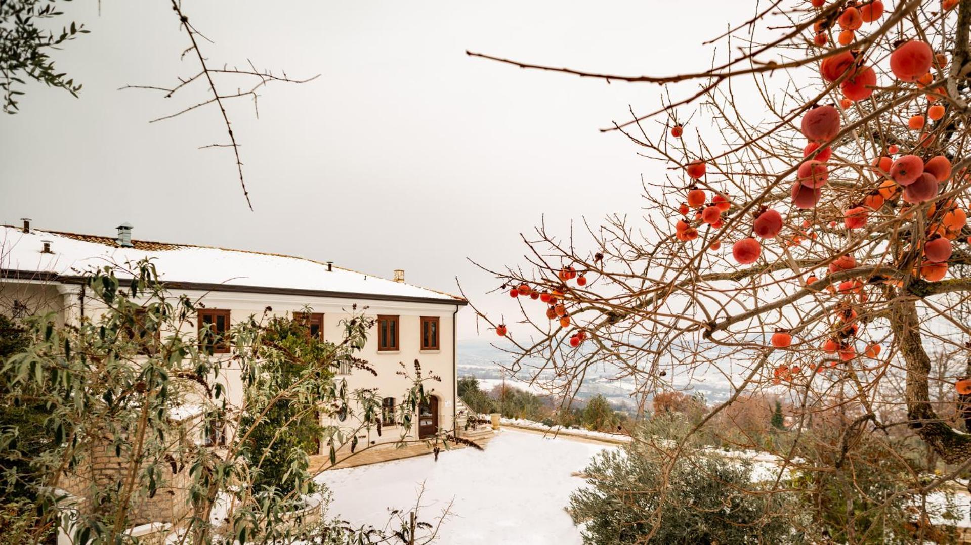 Il Mulino Della Signora Luxury Country House Frigento Екстериор снимка